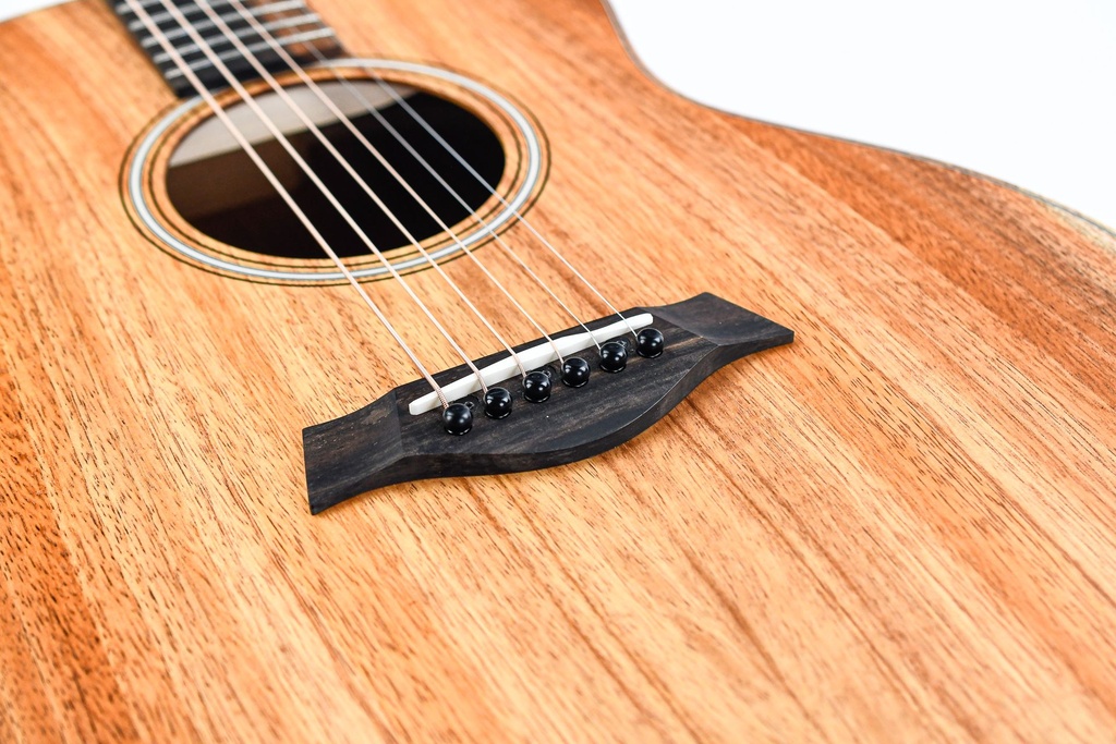 Taylor GS mini kor/FLTD2013